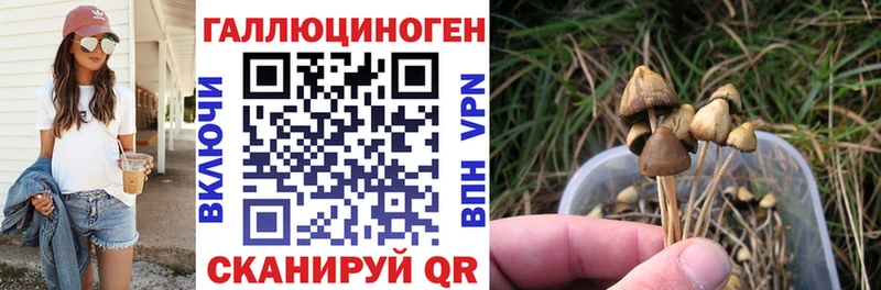 Псилоцибиновые грибы MAGIC MUSHROOMS  Печоры 